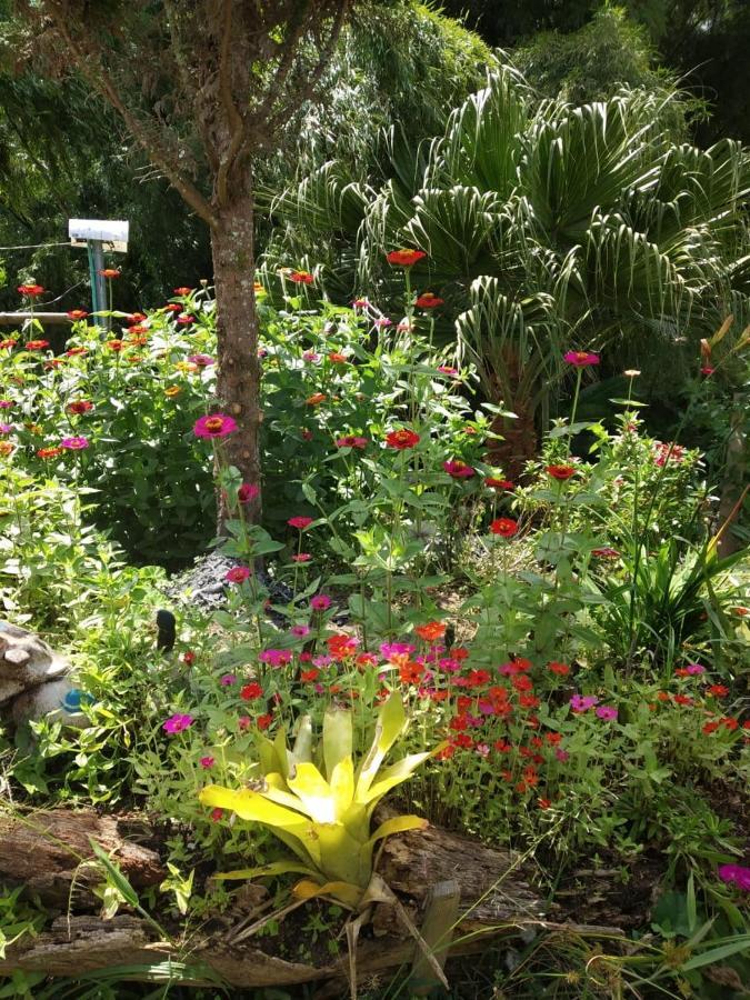 Alojamiento Campestre Cabanas Mirador Ingruma Riosucio Caldas Ruiosucio 外观 照片
